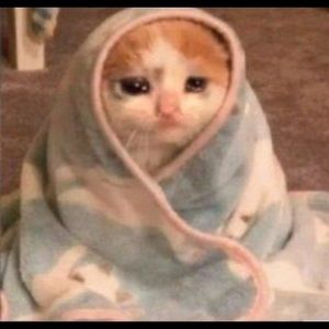 Meet your Posher, Lilly